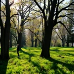 campestre-washington